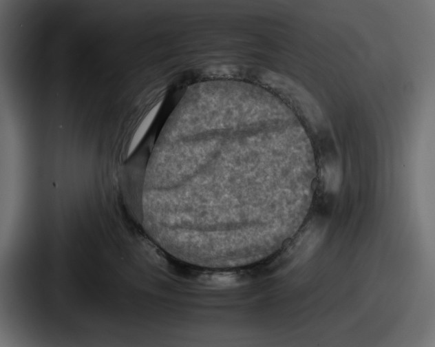 X0000086760665200705111716