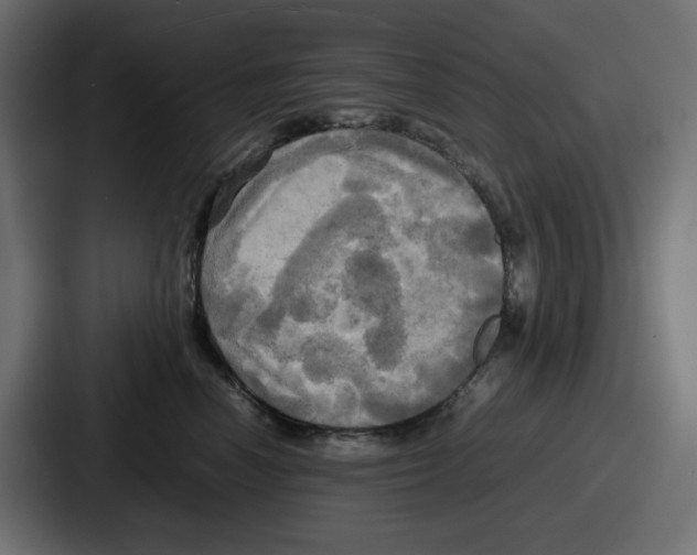 X0000086760666200705111716