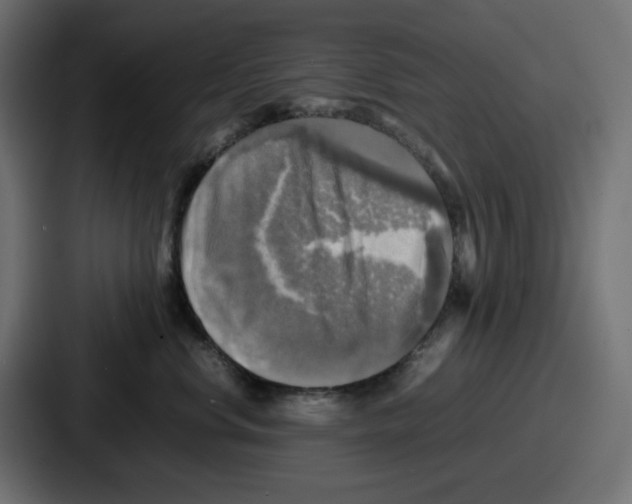 X0000086760668200705111716