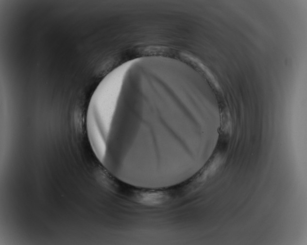X0000086760669200705111716