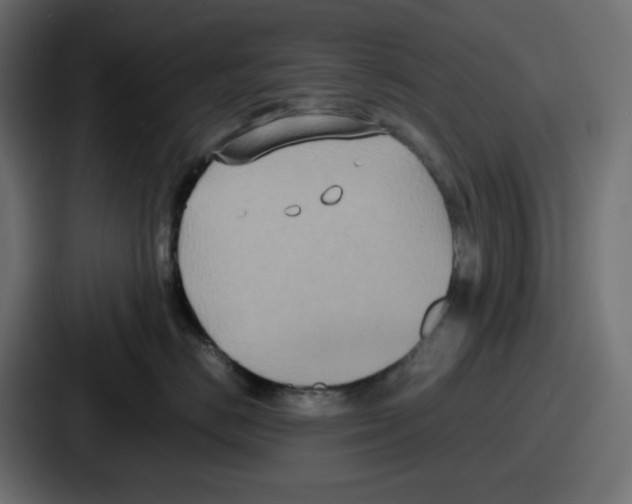 X0000086760670200705111716