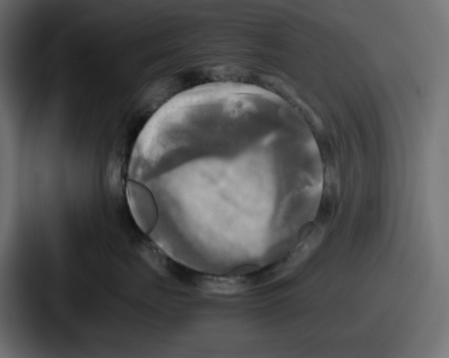 X0000086760671200705111716