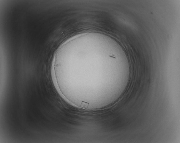 X0000086760672200705111716