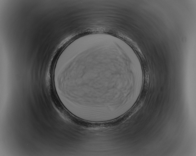 X0000086760674200705111715