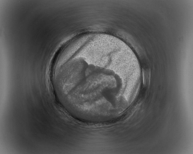 X0000086760675200705111715