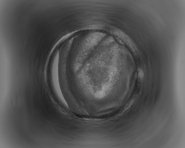 X0000086760676200705111715