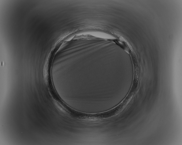 X0000086760677200705111715