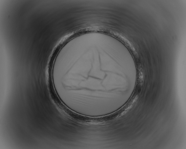 X0000086760678200705111715