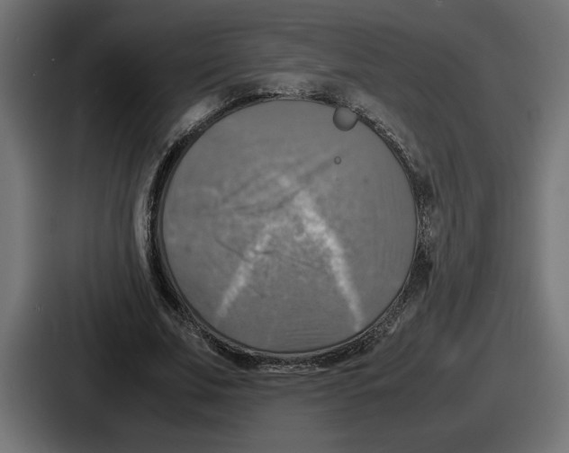 X0000086760679200705111715