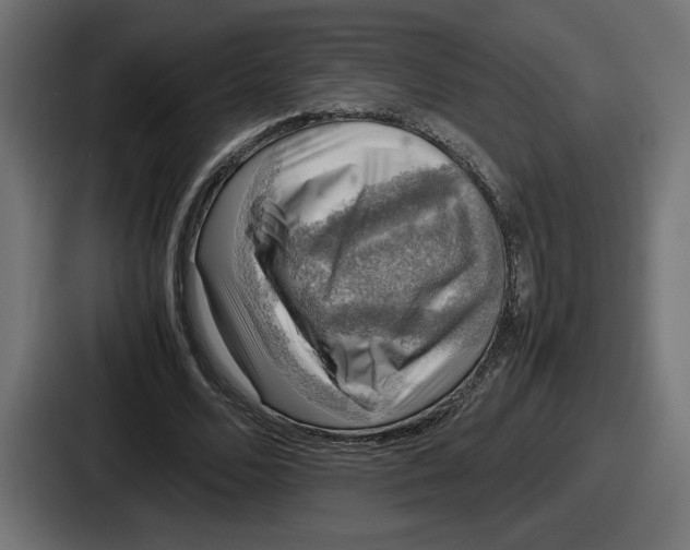 X0000086760680200705111715