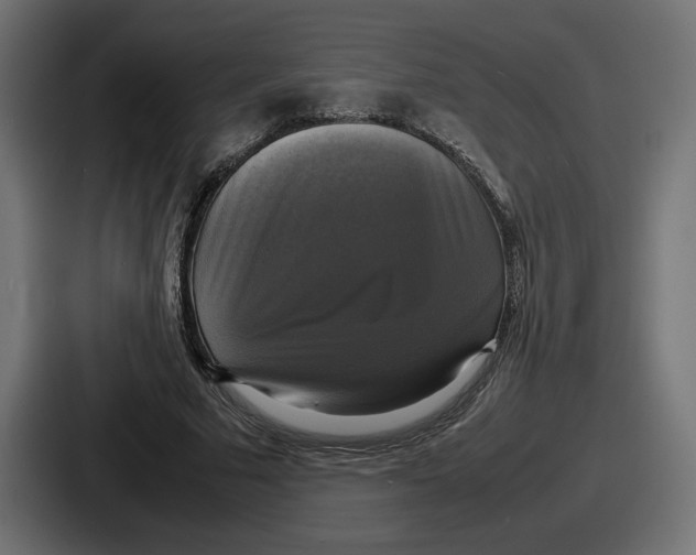 X0000086760681200705111715