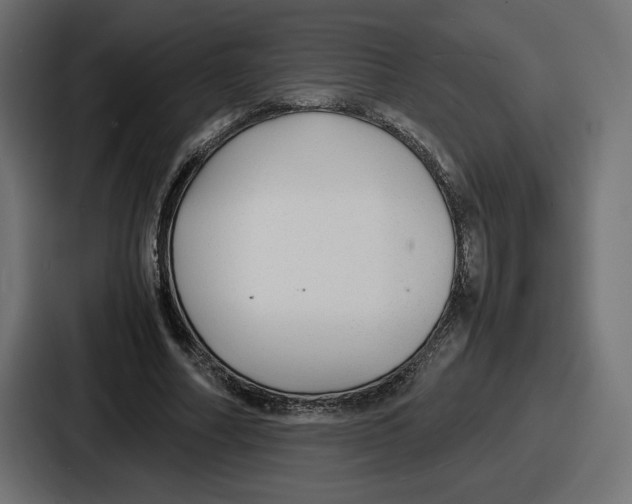 X0000086760682200705111715