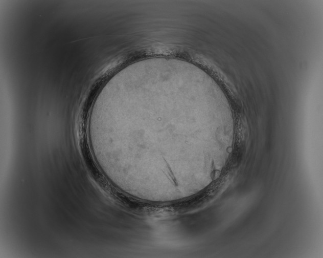 X0000086760683200705111715