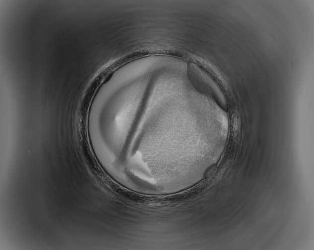 X0000086760684200705111715