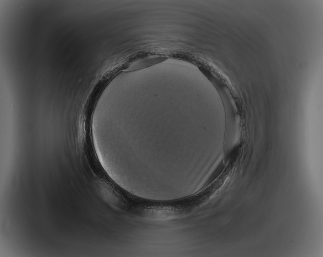 X0000086760685200705111715