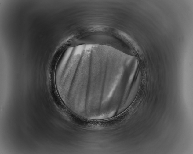 X0000086760688200705111715