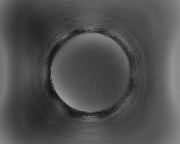 X0000086760689200705111715