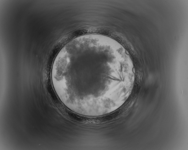 X0000086760691200705111715