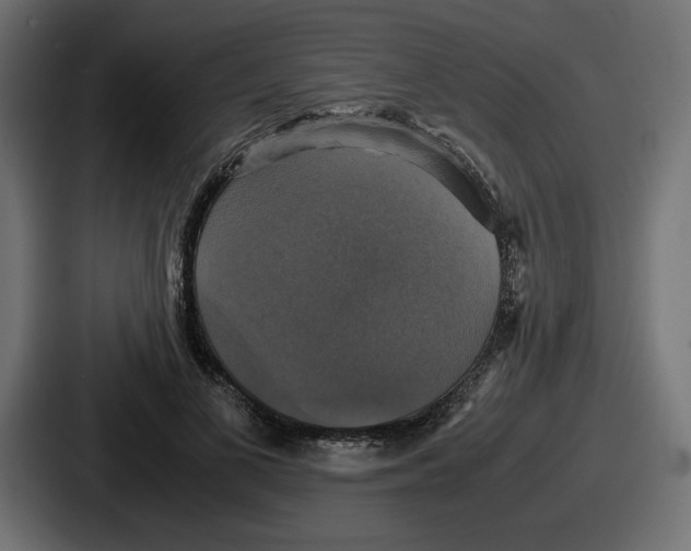 X0000086760693200705111715