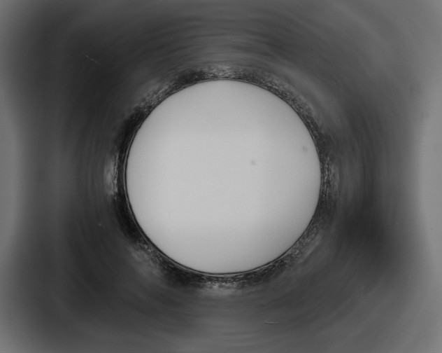 X0000086760694200705111715