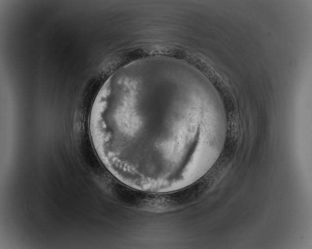 X0000086760695200705111715