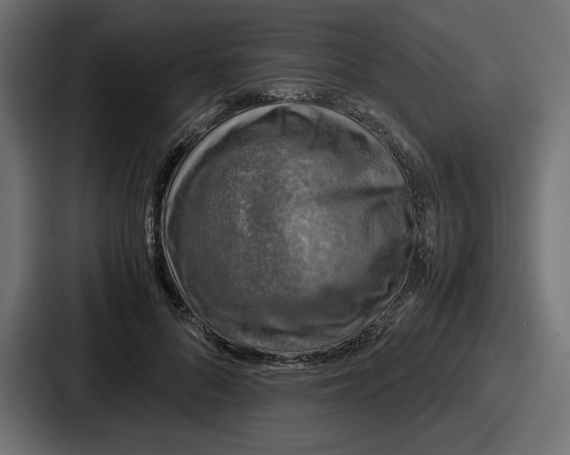 X0000086760696200705111715