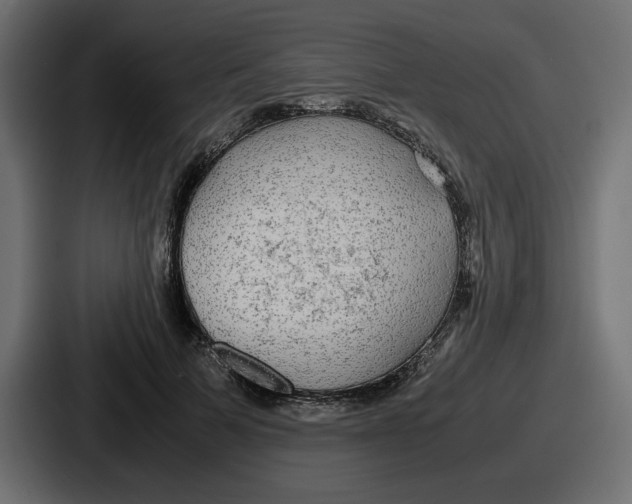 X0000086760697200705111715