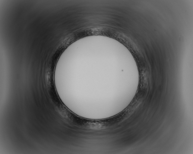 X0000086760698200705111715