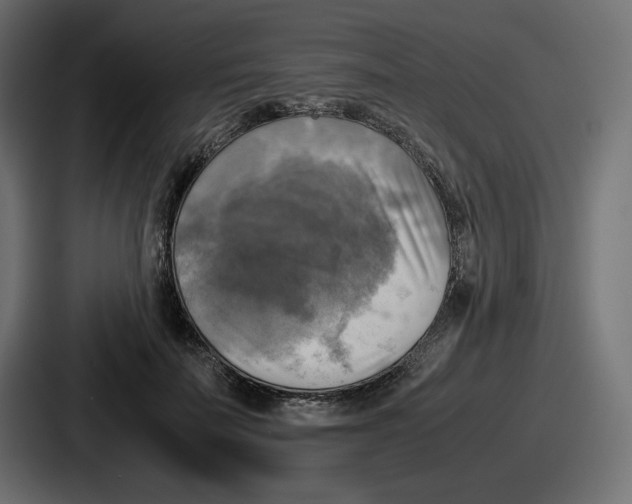 X0000086760699200705111715