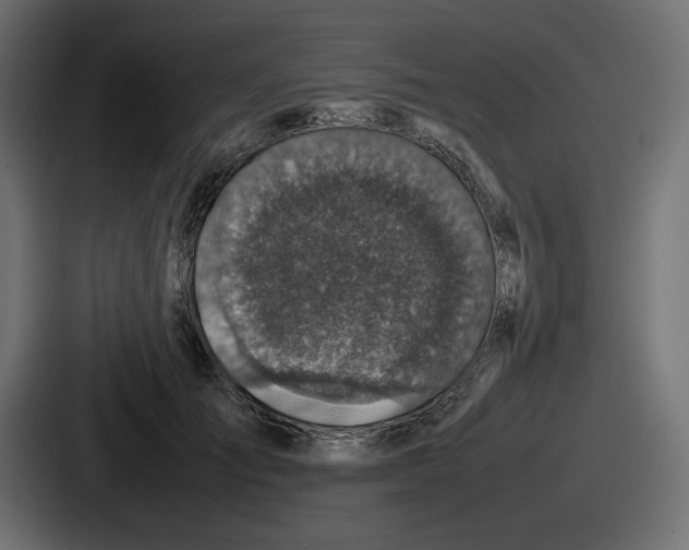 X0000086760701200705111715