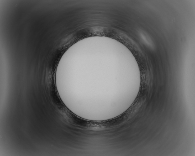 X0000086760702200705111715