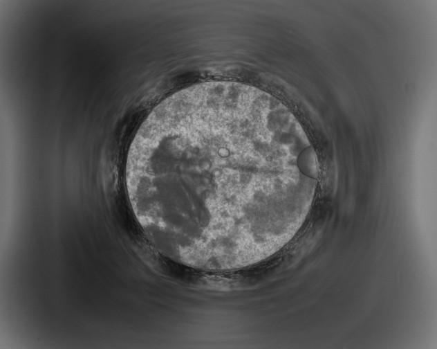 X0000086760703200705111715