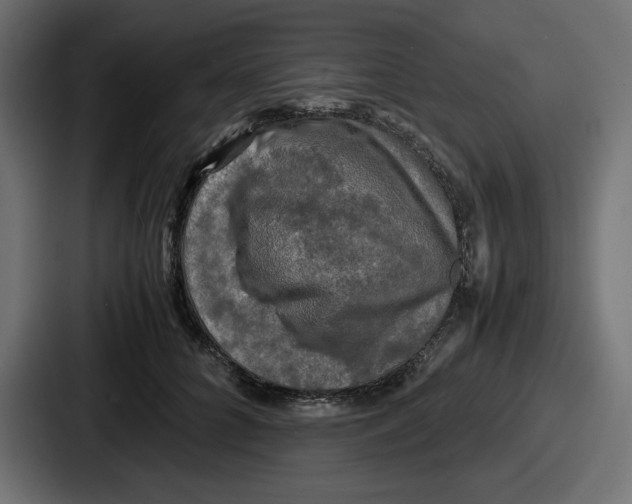 X0000086760704200705111715