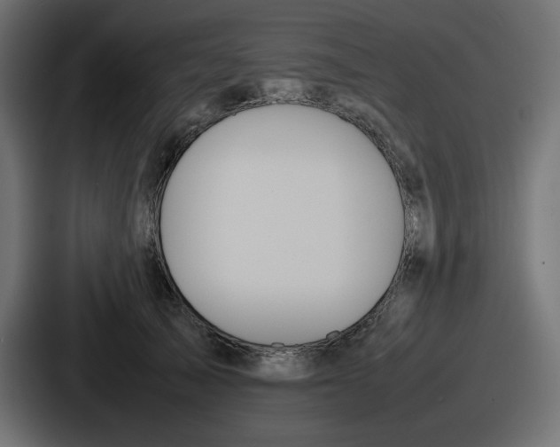 X0000086760705200705111715