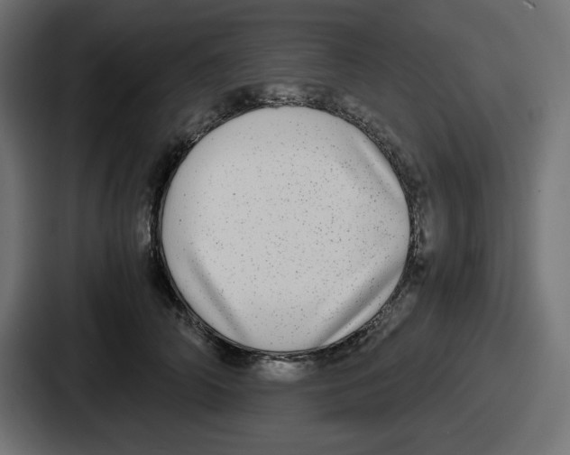 X0000086760706200705111715