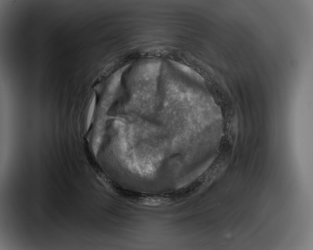 X0000086760708200705111715