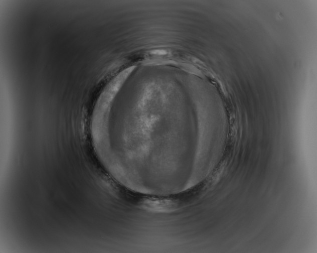 X0000086760712200705111715