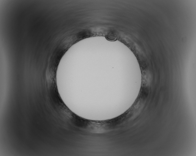 X0000086760713200705111715