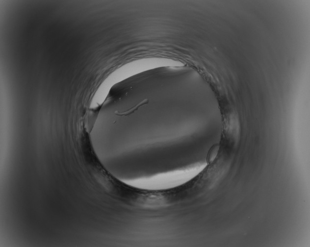 X0000086760715200705111715