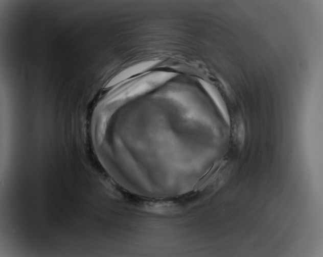 X0000086760716200705111715