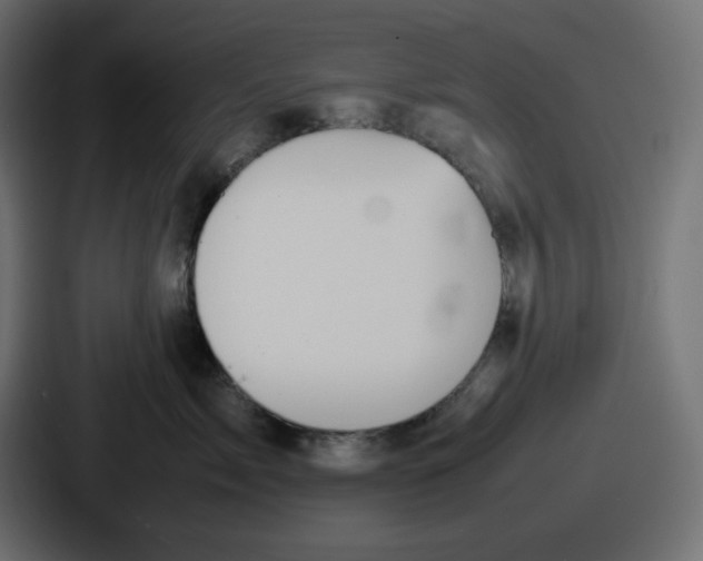 X0000086760717200705111715