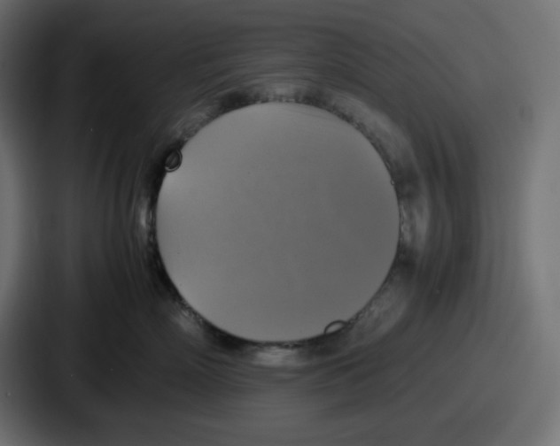 X0000086760718200705111715