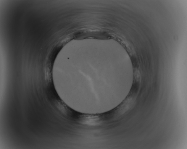 X0000086760719200705111715