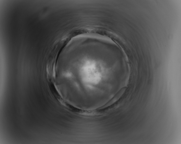 X0000086760720200705111715