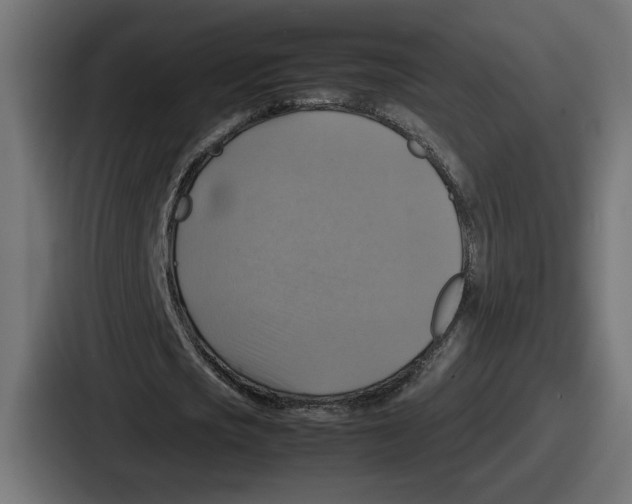 X0000086760721200705111714