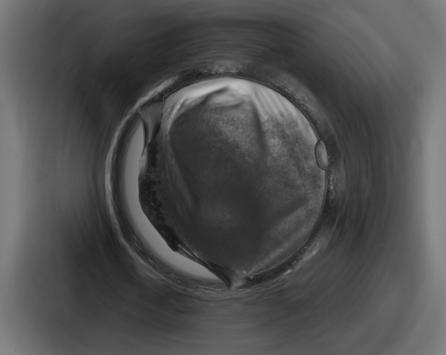 X0000086760722200705111714