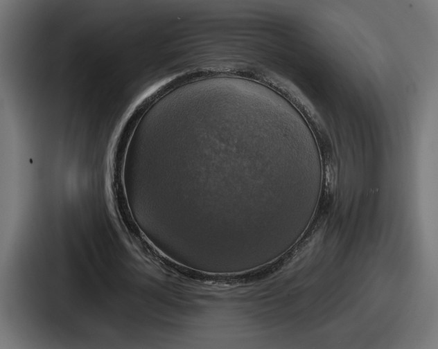 X0000086760724200705111714