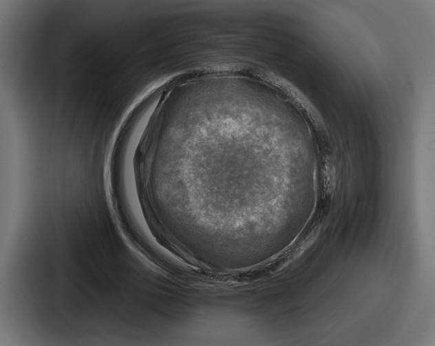 X0000086760726200705111714