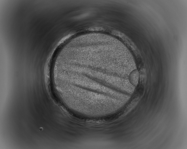 X0000086760727200705111714