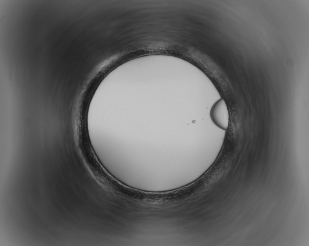 X0000086760728200705111714